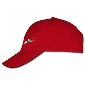 帽子專門店度身訂造 特色紅炎棒球帽 CT-BCUM-128