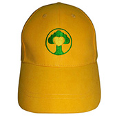 DIY設計Cap帽 棒球帽 CT-BCUM-160