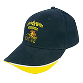 專業訂購 鴕鳥棒球帽 CT-BCUM-237
